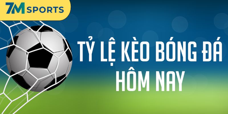 Đọc KÈO TỶ SỐ không quá phức tạp