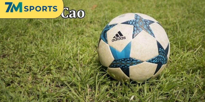 Khái quát thông tin tỷ lệ cược Macau là gì?
