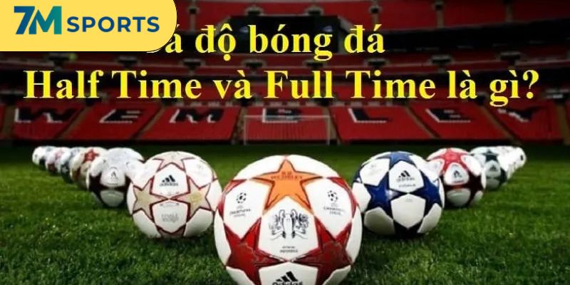 Những lựa chọn đặt tiền thông dụng cho người chơi