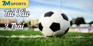 Tài Xỉu 3/4 Trái Và 5 Cách Soi Kèo Hiệu Quả Nhất 2026